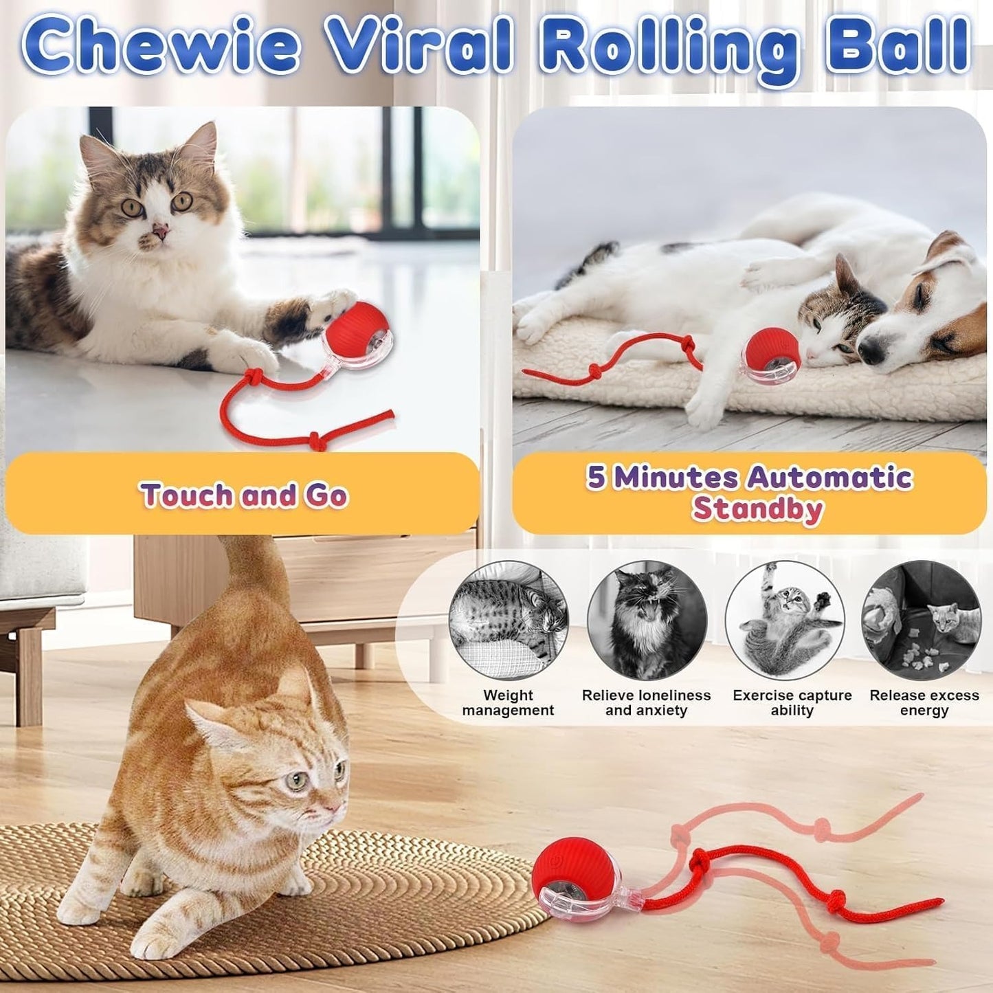 Alba Bruno's Interactive cat & Dog Ball Toy Smart self Rolling pet Ball