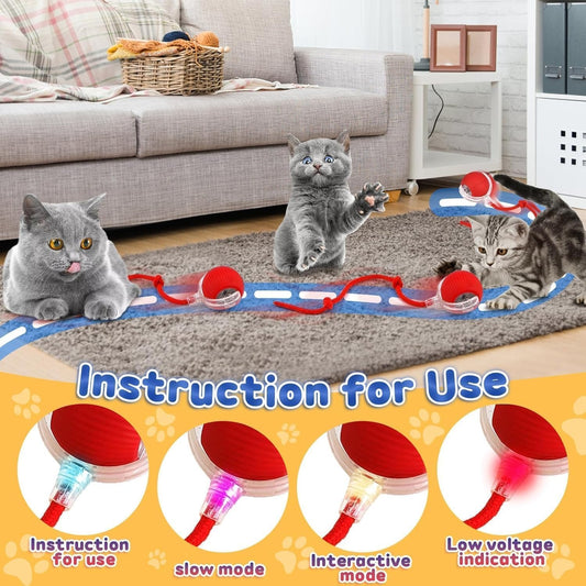 Alba Bruno's Interactive cat & Dog Ball Toy Smart self Rolling pet Ball