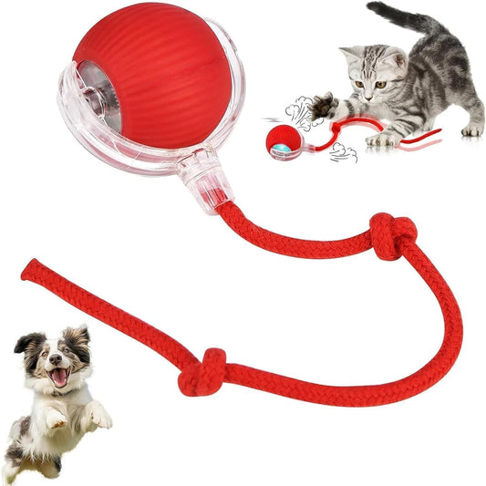 Alba Bruno's Interactive cat & Dog Ball Toy Smart self Rolling pet Ball