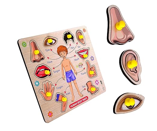 Body Part Puzzle Kids Wooden Toys for Kids 3 + Jigsaw Puzzles for Adults Baby Learning Toys Educational Toys