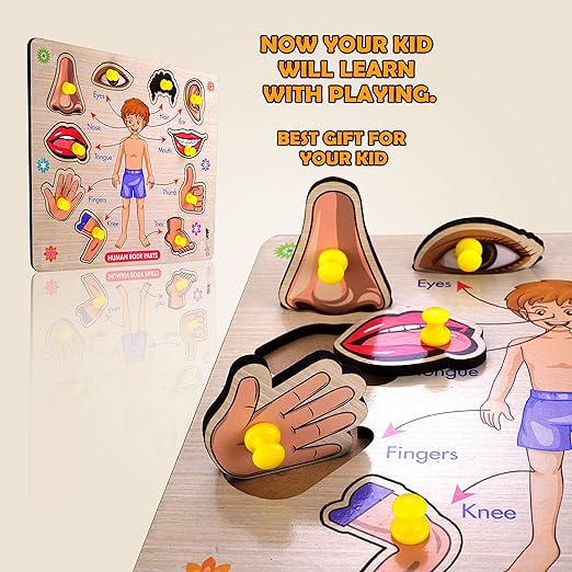 Body Part Puzzle Kids Wooden Toys for Kids 3 + Jigsaw Puzzles for Adults Baby Learning Toys Educational Toys